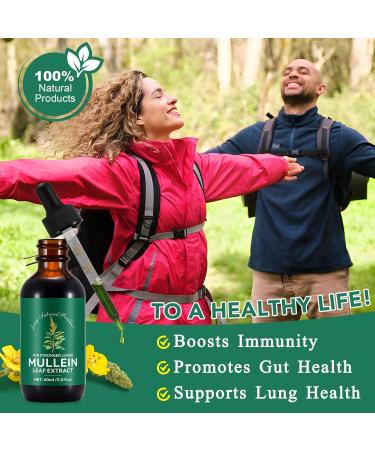 Mullein Drops for Lungs - Mullein Leaf Extract for Lungs Chlorophyll Liquid Drops Supplement for Lung Cleanse Natural Herbal 2 Fl Oz (Pack of 1) - Buy Online on GoSupps.com