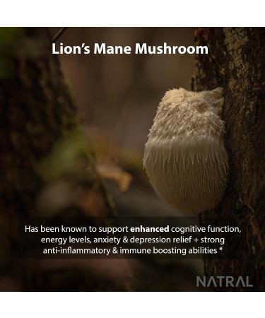 Premium 5000mg Lion's Mane Mushroom Capsules - 60 Vegan Capsules with 30% Polysaccharides for Mental Clarity and Focus - Buy Online on GoSupps.com