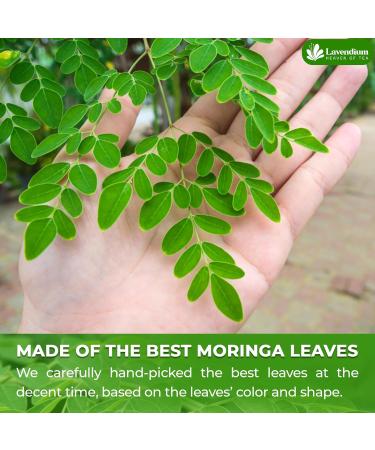 Lavendium Permium 120g (4.23oz) Natural Moringa Dried Leaves 100% Natural & Pure Moringa Leaves Moringa Loose Leaf Herbal Tea No Additives No Caffeine Vegan - Buy Online on GoSupps.com