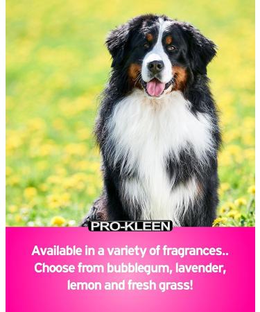 Pro-Kleen Kennel Disinfectant Cleaner & Deodoriser (Cherry Fragrance) - 5L Pack - Tested according to DVG (German Veterinary Medical Society) 5 l (Pack of 1) - Buy Online on GoSupps.com