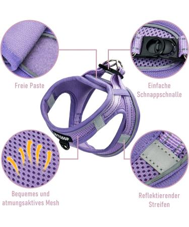 Buy Purple Padded Dog Harness for Small Dogs | XXS Puppy Harness for Comfort & Control - Buy Online on GoSupps.com