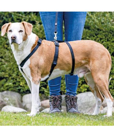 Trixie Stay Harness XS-S (30-40 cm) - Black | Premium Dog Harness for Comfortable & Safe Travel - Buy Online on GoSupps.com