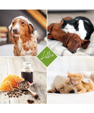 Lillis Dog Shampoo 500ml with Tea Tree Oil | Anti-Itch & Odor Relief for All Breeds | Shiny Fur & Healthy Skin - Buy Online on GoSupps.com