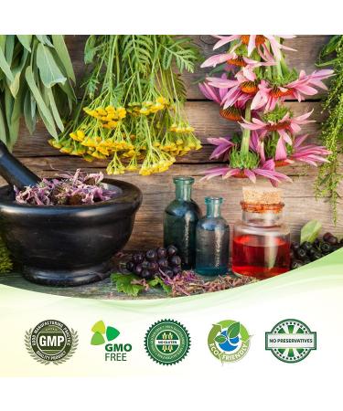 ScabiBLAST Mite Cream Lotion - Fast Relief from All Mites for Humans, Dermatologist Tested, Natural Blend - Get Rid of Mites Permanently - Buy Online on GoSupps.com