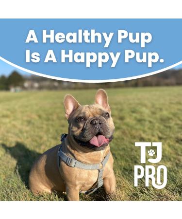 TJ Pro Digestive Probiotics for Dogs | Sensitive Stomachs, Skin Issues, Wind Relief | Prebiotic, Probiotic & Enzymes for Gut Health | Made in UK - Buy Online on GoSupps.com