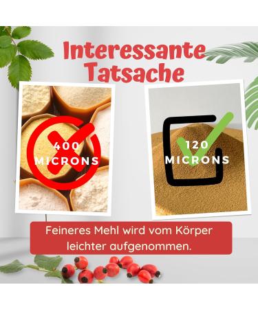 100% Organic Gluten-Free Rosehip Powder with Vitamin C & Omega-3/6 | Supports Intestinal Health & Immune System | 250g (1 Pack) with Turmeric - Buy Online on GoSupps.com