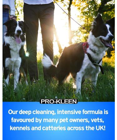 Pro-Kleen Kennel Disinfectant Cleaner & Deodoriser (Cherry Fragrance) - 5L Pack - Tested according to DVG (German Veterinary Medical Society) 5 l (Pack of 1) - Buy Online on GoSupps.com