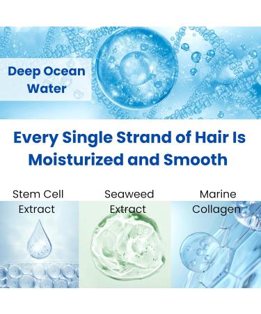 8 THE THALASSO Hair Mist Spray Japanese Hair Styling Spray for Frizzy & Dry Hair Leave-In Hair Spray for Quick Repairs 8.79 Fl Oz/ 250 mL - Buy Online on GoSupps.com