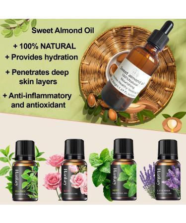 DINGTU Body Butter Making Kit- Shea Butter Lotion Making Kit DIY Crafts for Adults Organic Shea Butter Natural Whipped Body Butter Maker Skin Care Gifts for Women - Buy Online on GoSupps.com