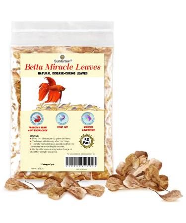 SunGrow Catappa Indian Almond Leaves, Best Way to Create Tropical Rainforest Environment for Betta & Gouramis, Beneficial Leaf Turns Water Black & Boosts Health 50 Leaves
