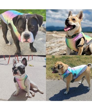 Dog Cooling Vest | Breathable Mesh Coat with Adjustable Straps | Perfect for Large Medium & Small Dogs | Rainbow Design - Buy Online on GoSupps.com