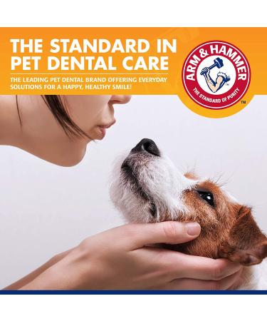 Arm & Hammer Tartar Control Dental Kit for Puppies - Vanilla Ginger | 4 Piece Set - Buy Online on GoSupps.com
