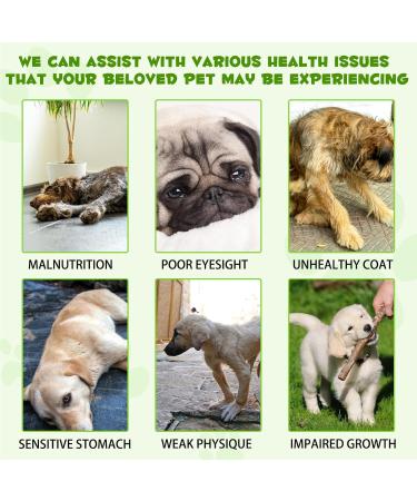 Probiotic for Dogs Natural 3 in 1 Dog Probiotic Drops Helps Relieve Diarrhea Supports Gut Health Itchy Skin Allergies Immunity Digestive Enzyme for Dog Supplement Bacon Flavor - 2 fl.oz - Buy Online on GoSupps.com
