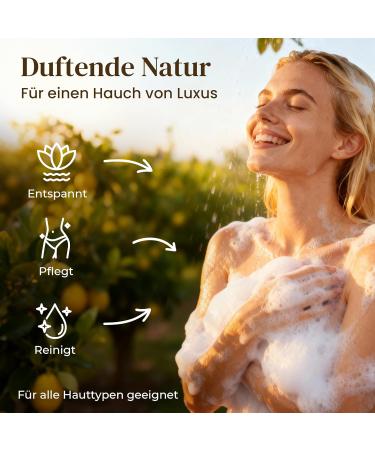  Dungl Schmied Handmade Lemon Mint Soap | Citornen Soap Pebble | Natural Scented | Palm Oil Free | Care Soap with Natural Ingredients | Vegan | For All Skin Types - Buy Online on GoSupps.com