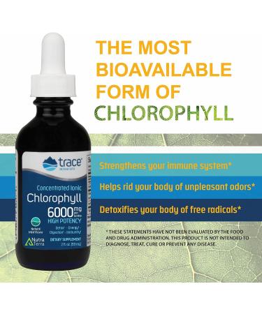 Trace Minerals Ionic Chlorophyll | Immune Boost & Antioxidant | Mint Flavored, 2.0oz 6000mg - Buy Online on GoSupps.com