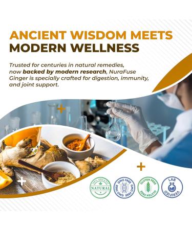 Liposomal Ginger Peppermint Turmeric Elderberry - Support Digestion Health Immune System - Made and Tested in The USA 150 count (pack of 1) - Buy Online on GoSupps.com