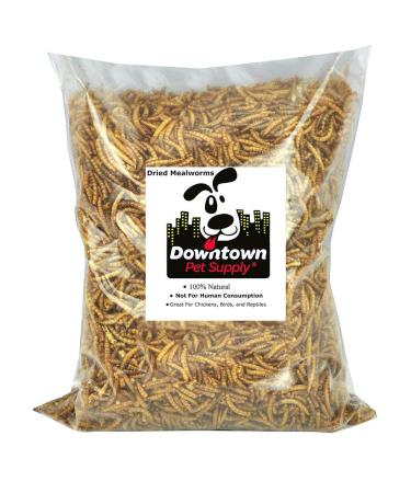 Downtown Pet Supply Dried Mealworms 100% Natural Treats for Wild Birds Chickens Reptiles Fish - Food for Birds Turkeys