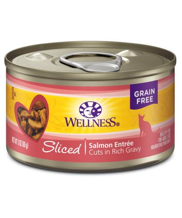 Wellness Complete Health Grain Free Wet Cat Food, Sliced Cuts in Rich Gravy, Natural Cat Food, Adult, Healthy, No Wheat, Corn, Soy, Artificial Flavors, Colors, Carrageenan or Preservatives Salmon 5.5 Ounce (Pack of 24)