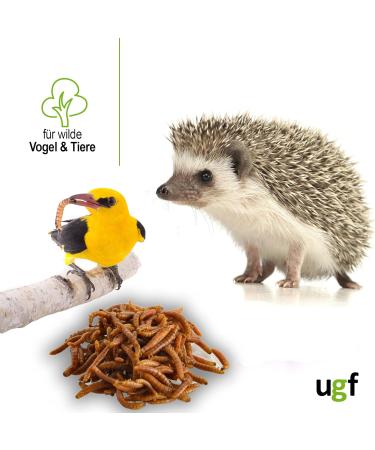 UGF Juicy Preserved Mealworms 140g - Premium Bird Food Hedgehog & Squirrel Treats Year-Round Nutrition - Buy Online on GoSupps.com