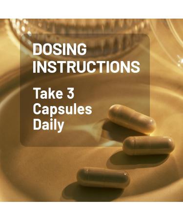 NatureWise Multi Collagen Peptides Pills for Women & Men - Type I II III V X w/Hyaluronic Acid - Supports Skin Hair Joint Health* - Grass Fed Gluten Free Non-GMO - 90 Capsules 30 Day Supply  - Buy Online on GoSupps.com