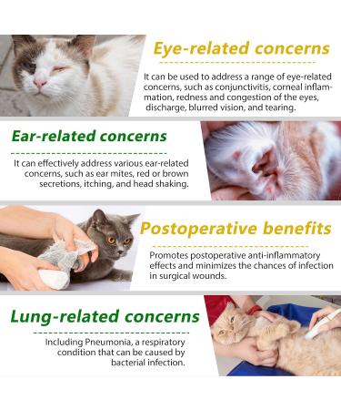 Natural Antibiotics for Cats 2 PCS Cat Antibiotics- Cat Multivitamin is anti-bacterial effect antibiotics for cats Supports Immune & Cats Allergy Relief Health Supplies Cats UTI Antibiotics(60ml) - Buy Online on GoSupps.com