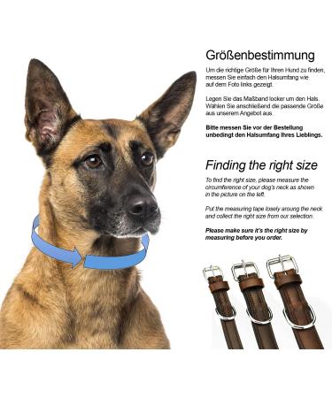Premium Leather Sniffing Fans Dog Collar - Padded Robust & Adjustable for Large Medium & Small Dogs (XL 46-55cm Brown) - Buy Online on GoSupps.com