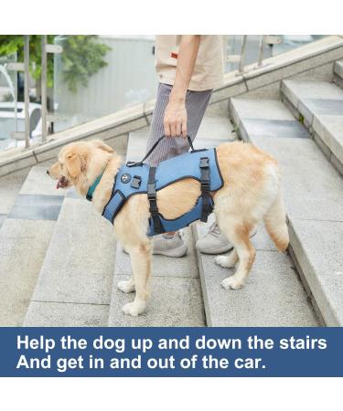 COODEO Adjustable Dog Lifting Harness - Breathable Support & Recreation Loops for XXL Pets - Ideal for Rehabilitation & Disabled Dogs - Buy Online on GoSupps.com