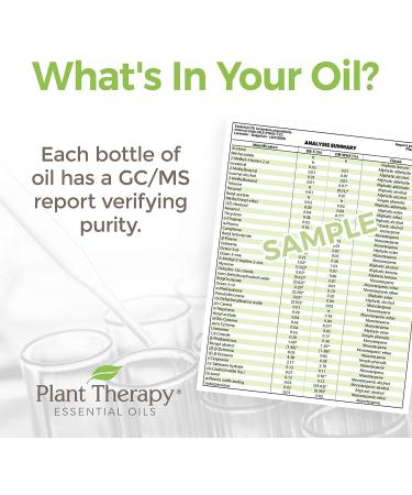 Plant Therapy Quiet Cough KidSafe Essential Oil Blend 10 mL - 100% Pure Therapeutic Grade Oil - 0.34 Fl Oz - Buy Online on GoSupps.com