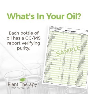 Plant Therapy Hocus Focus KidSafe Essential Oil Blend 10 mL - Pure Undiluted Therapeutic Grade for Kids' Focus - Buy Online on GoSupps.com
