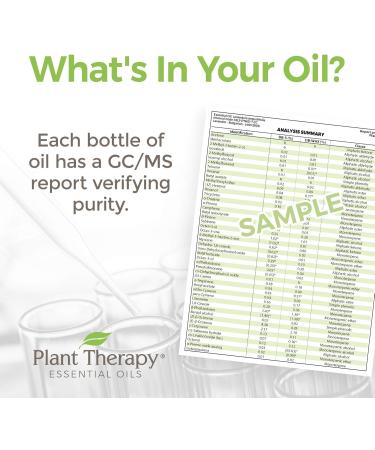 Buy Plant Therapy Organic Ginger Root CO2 Essential Oil 10 mL - 100% Pure Undiluted Aromatherapy - International Shipping Available - Buy Online on GoSupps.com