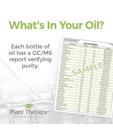 Plant Therapy Sleep Essential Oil Blend 10 mL - 100% Pure Natural Aromatherapy for Better Sleep | Therapeutic Grade - Buy Online on GoSupps.com