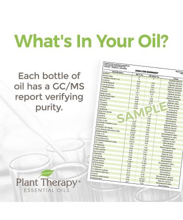 Plant Therapy Lavender Essential Oil Roll-On 10 mL - 100% Pure, Pre-Diluted, Therapeutic Grade, Natural Aromatherapy - Buy Online on GoSupps.com