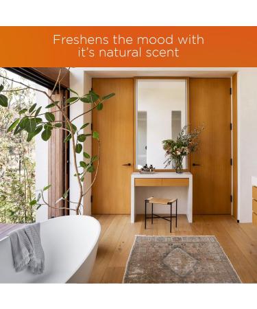 Home stuff Toilet fresheners 500ml. Removes Limescale and stains Cleaning Foam and Extra Freshness (Citrus scented) - Buy Online on GoSupps.com