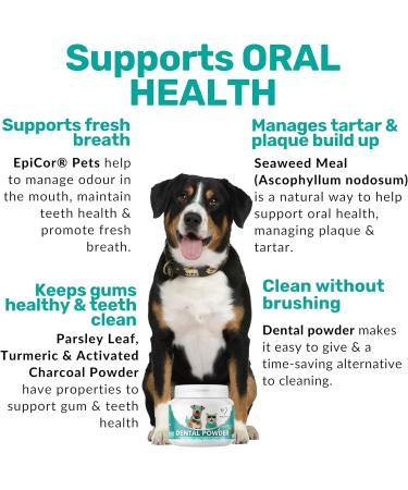 NutriPaw Dental Powder for Dogs & Cats - Clean Teeth, Healthy Gums & Fresh Breath - Plaque & Tartar Control - Fuss-Free Oral Care Solution - Lasts Up to 6 months - Buy Online on GoSupps.com