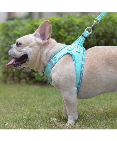 Doramio Reflective Dog Harness for Small Dogs & Cats - Breathable Step-In Design with Leash - XS Light Green - Buy Online on GoSupps.com