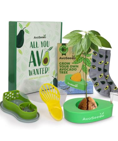 AvoSeedo Indoor Avocado Growing Kit with Avocado Slicer and Saver Set | Grow Avocado Tree Kit Gift Box with Avocado Multitool and Avocado Socks Inside | The Ideal Gift Choice for Anyone and Everyone