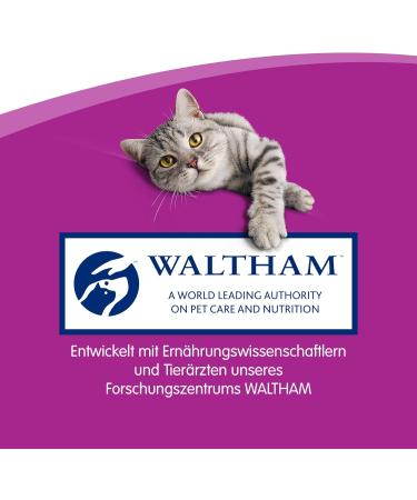 Buy Whiskas Sticks Cat Snacks - Chicken Flavor 84 Sticks | Rich in Vitamins & Minerals - Irresistible Taste for Your Cat - Buy Online on GoSupps.com