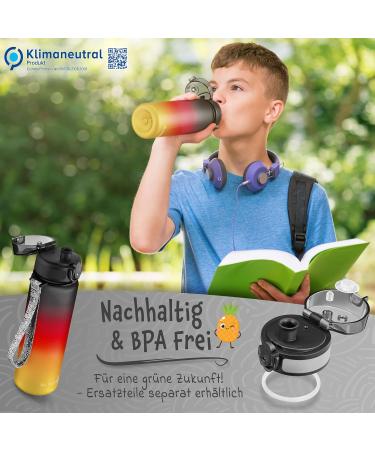 My Vesperbox Minny Leak Proof Kids Water Bottle with Straw or Strainer 350ml 500ml 750ml BPA Free Lightweight Water Bottle for Kindergarten School (Green Light Green Black 750ml) - Buy Online on GoSupps.com
