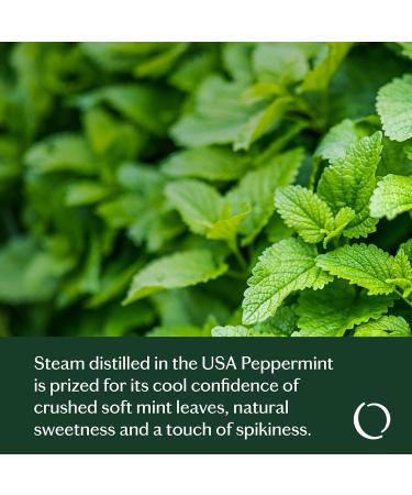 Confident Peppermint Essential Oil - Pure & Natural Aromatherapy - Fresh USA-Sourced Mint Scent for Skin & Diffuser Use - Buy Online on GoSupps.com