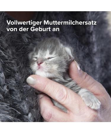 BEAPHAR Lactol Rearing Milk for Cats - 250g | Best Nutritional Formula for Kittens | International Shipping Available - Buy Online on GoSupps.com