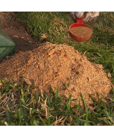 Spectracide Fire Ant Shield Mound Destroyer Granules 3.5lb - Fast & Effective Ant Killer - Buy Online on GoSupps.com