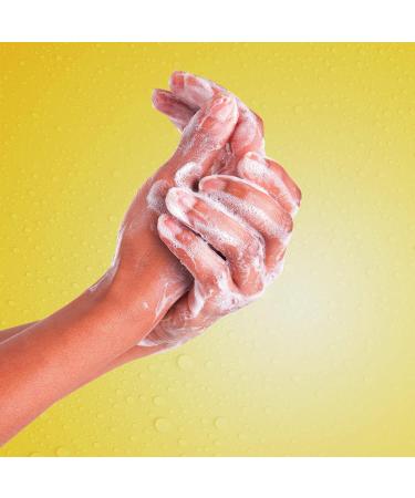Suave Invigorating Liquid Hand Soap - Sunshine & Lemons 13.5 oz | Gentle Wash for Dirt & Germs Moisturizing Formula - Buy Online on GoSupps.com
