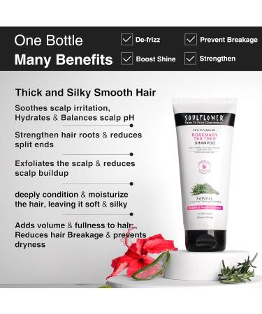 Soulflower Rosemary Shampoo for Hair Growth | Anti Hair Fall | Stronger Shiny Hair & Healthy Scalp with Tea Tree & Pro Vitamin B5 - 6.77 fl oz - Buy Online on GoSupps.com