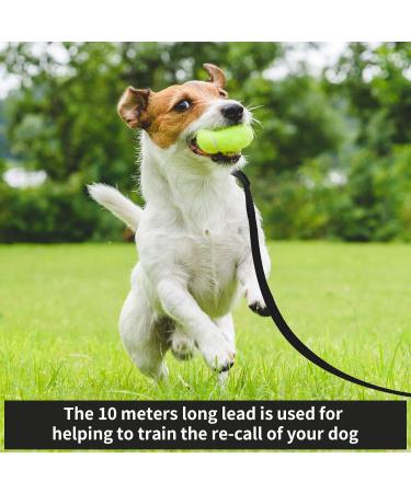 Fanshiontide 10m/33ft Long Dog Training Lead Leash for Large, Medium & Small Dogs - Black - Buy Online on GoSupps.com