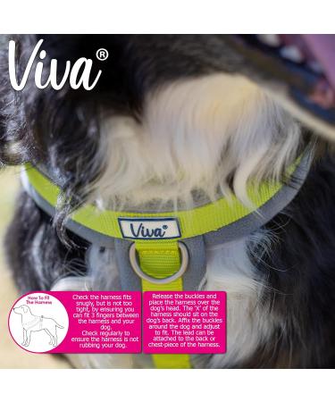 Ancol Viva Purple Padded Harness - Size Small (36-42cm) - Buy Online on GoSupps.com