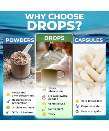 Irish Sea Moss Liquid Drops - with Spirulina, Burdock Root & Black Cumin - Liquid Supplement - Strawberry Flavor - 2 Fl Oz (60ml) - Buy Online on GoSupps.com