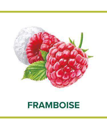 PALMOLIVE - Magic Pouss'Mousse Raspberry Liquid Hand Soap - Delicately Scented Cleansing Foam - 250 ml Pump Soap Dispenser - Pack of 3 - Buy Online on GoSupps.com