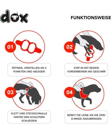 DDOXX Reflecting Airmesh Step-in Dog Harness - Adjustable Puppy Harness for All Sizes - L (Orange) - Breast Size 43-48 cm - Buy Online on GoSupps.com