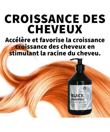 Shampooing Oignon Caf ine et Huile de Ricin pour Cheveux Antipelliculaire Volume Capillaire et Barbe Anti Chute Hydratant Croissance des Cheveux SANS SULFATE 3 x 200 ml Fresh 200 ml (Lot de 3) - Buy Online on GoSupps.com