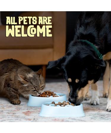 Purrfects Slow Feeder Dog Bowl (Sky Blue) - Anti Choke and Bloat - Dog Slow Feeder for Slower Feeding - Buy Online on GoSupps.com
